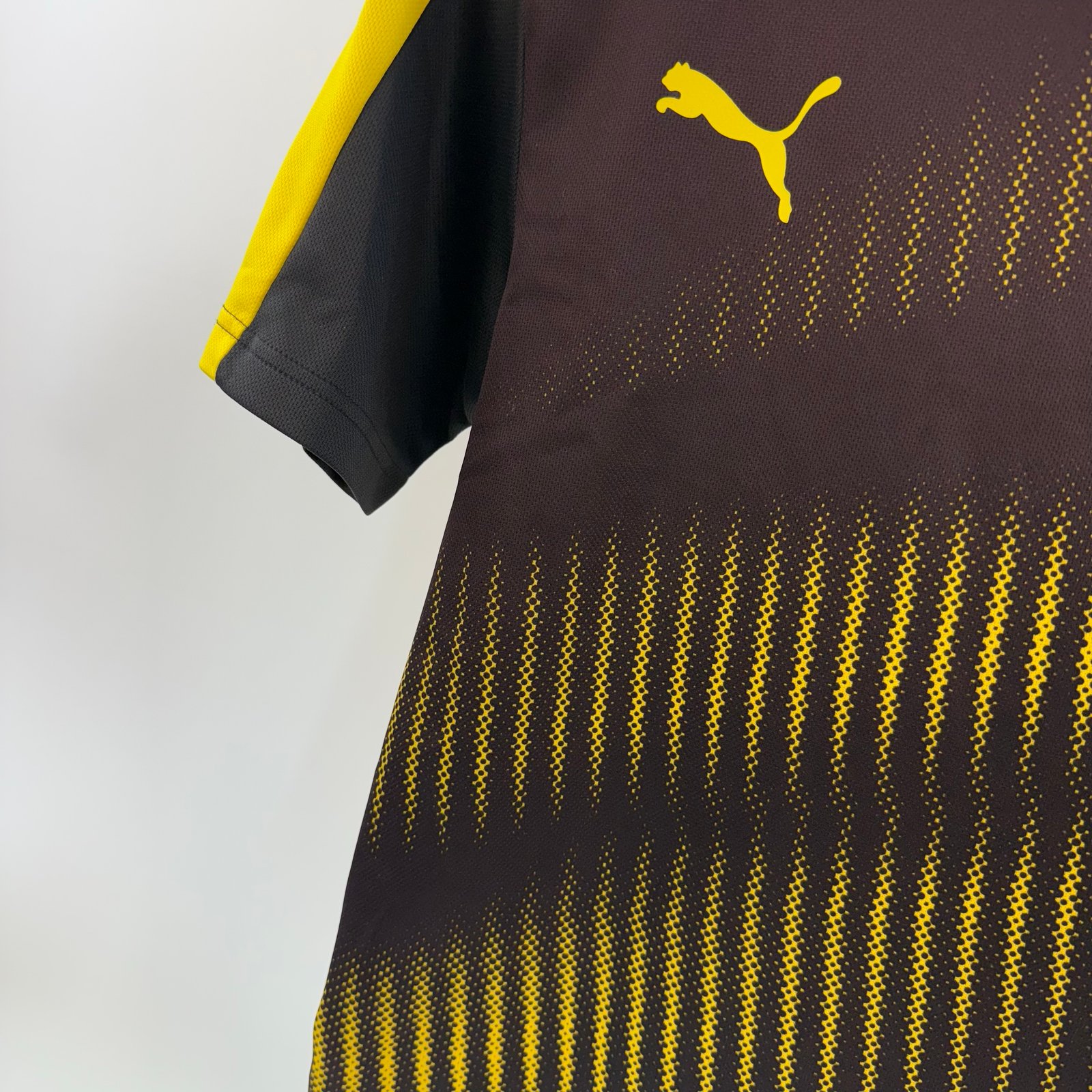 Borussia Dortmund 2016-17 Training (S)