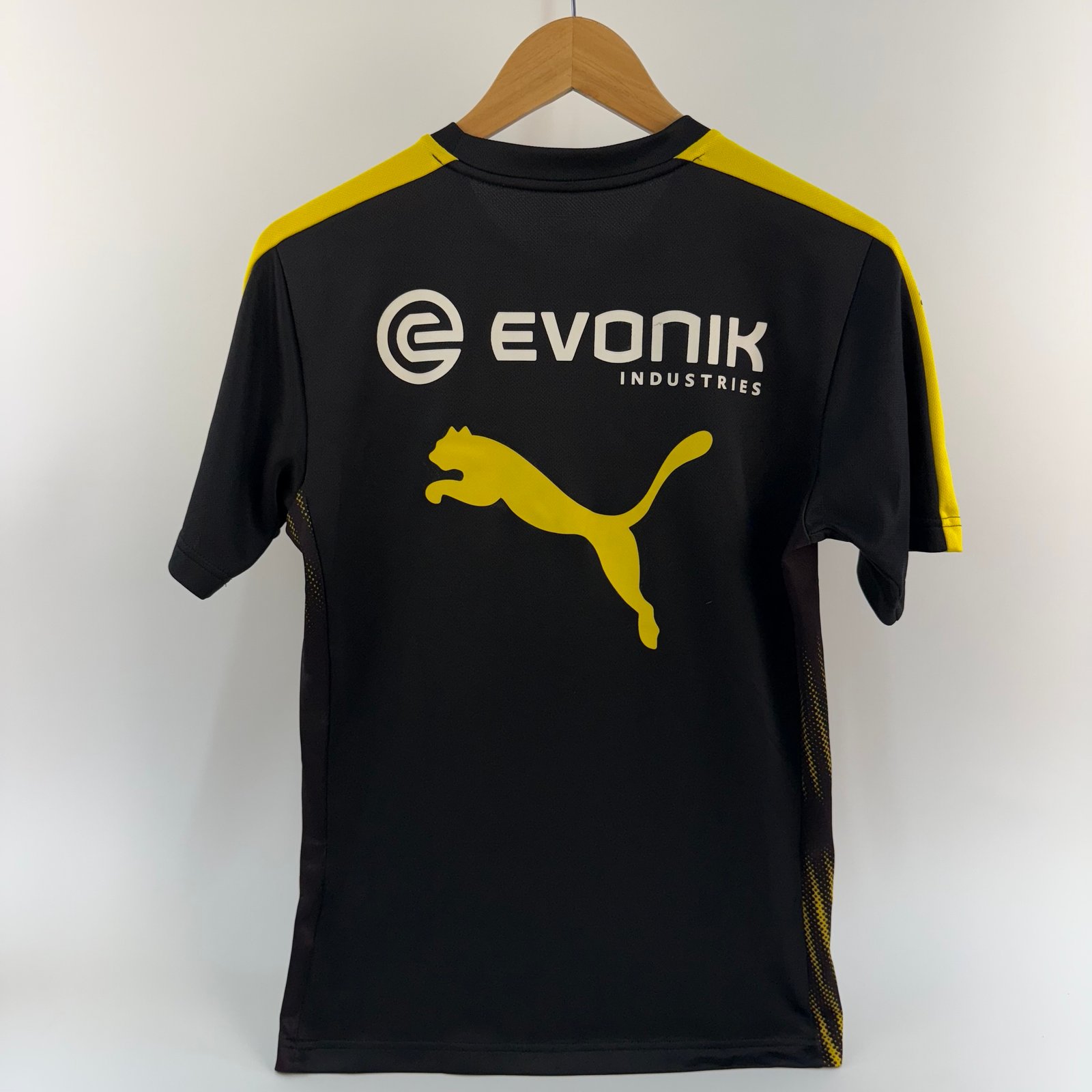 Borussia Dortmund 2016-17 Training (S)