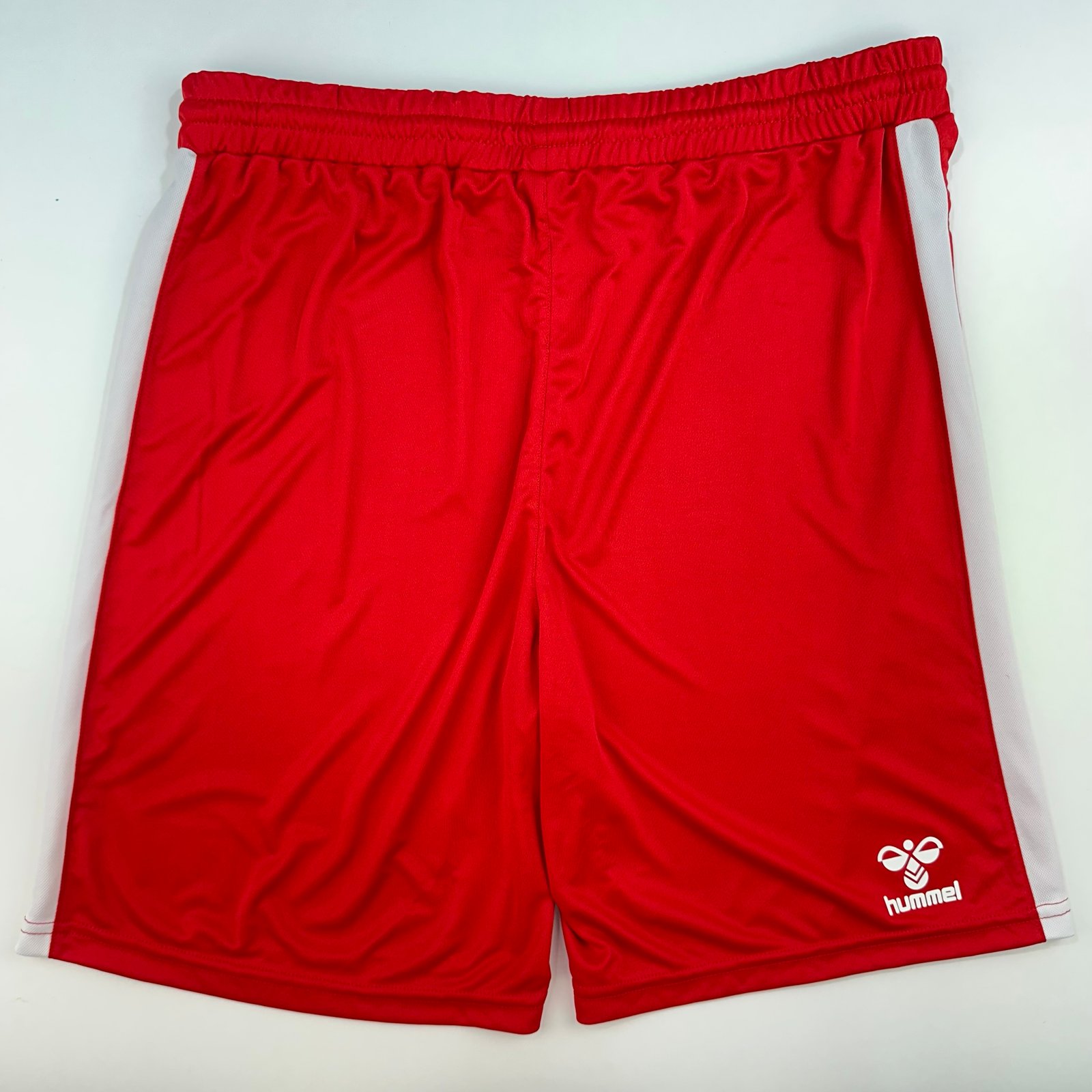 Regensburg 2023-24 Home *Şort (L)