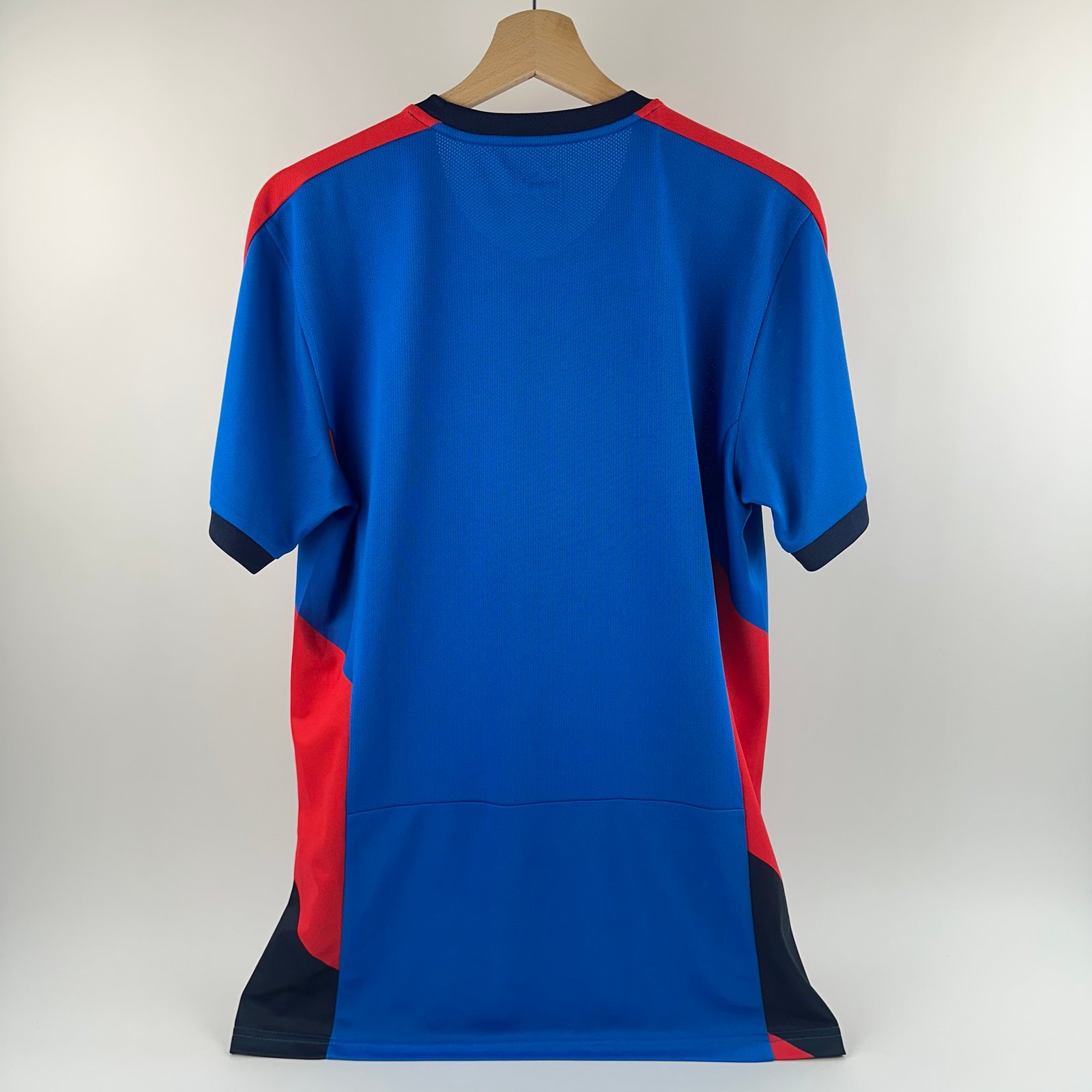 Viktoria Plzeň 2015-16 Home (M)