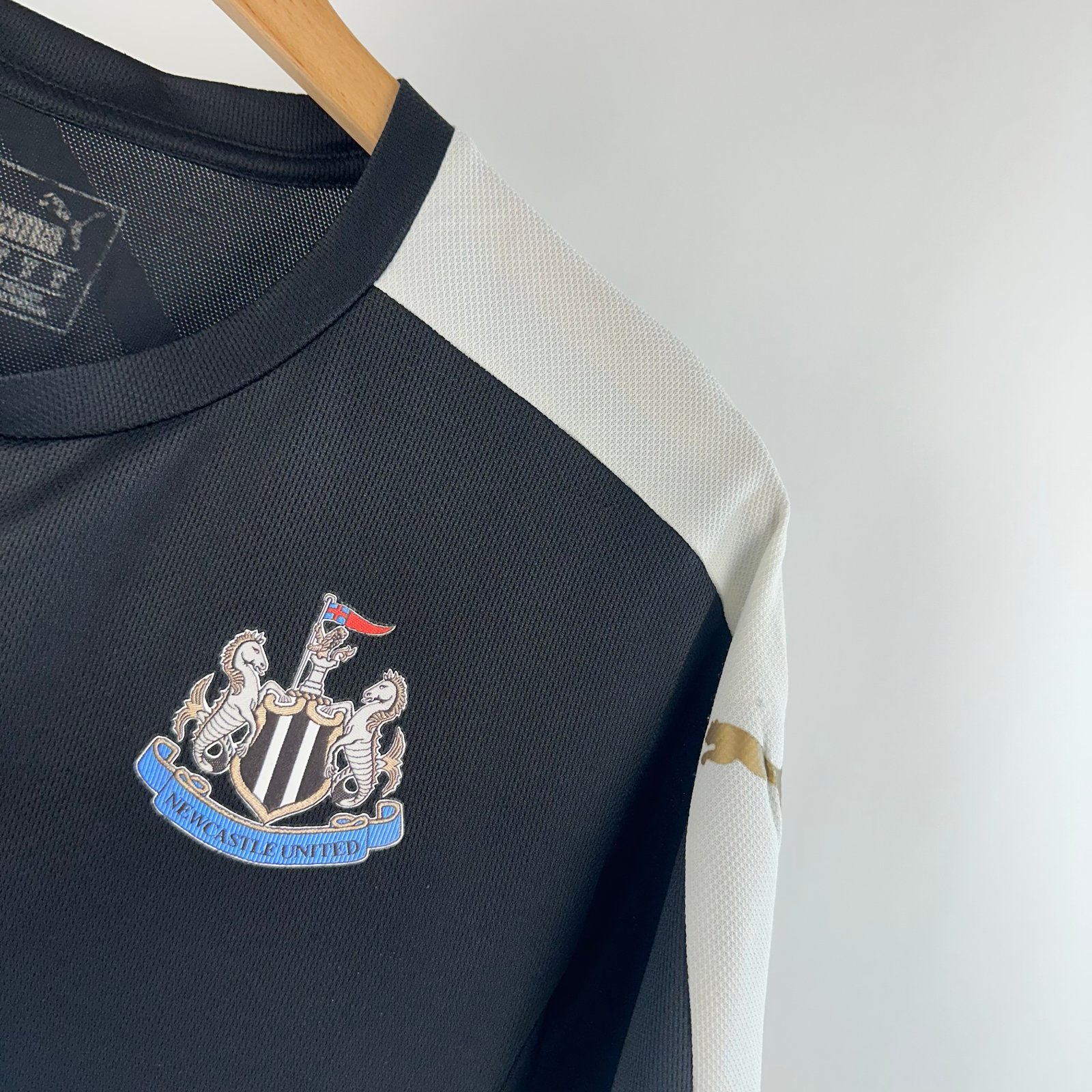 Newcastle United 2015-16 Training (M)