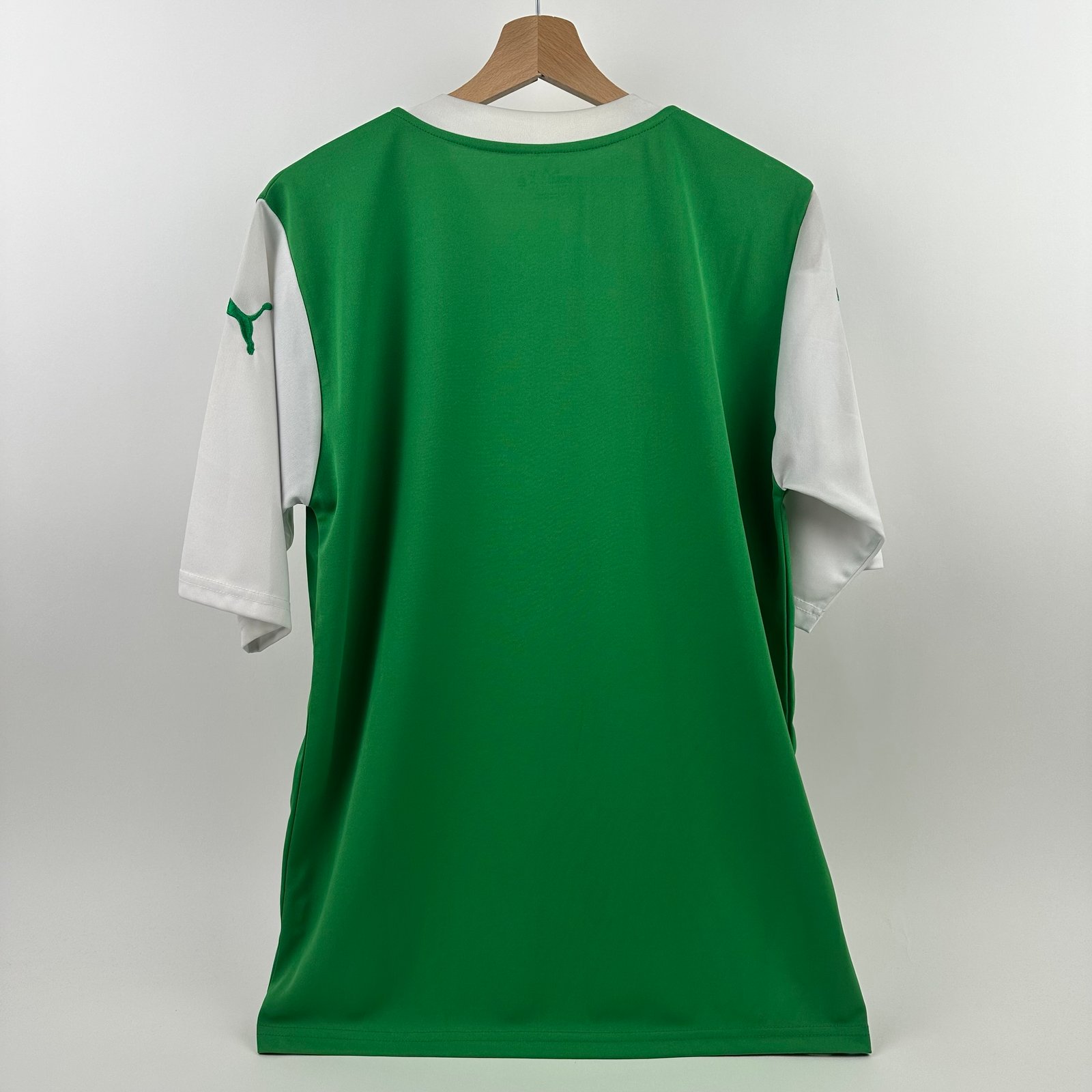Hibernian 2010-11 Home (M)