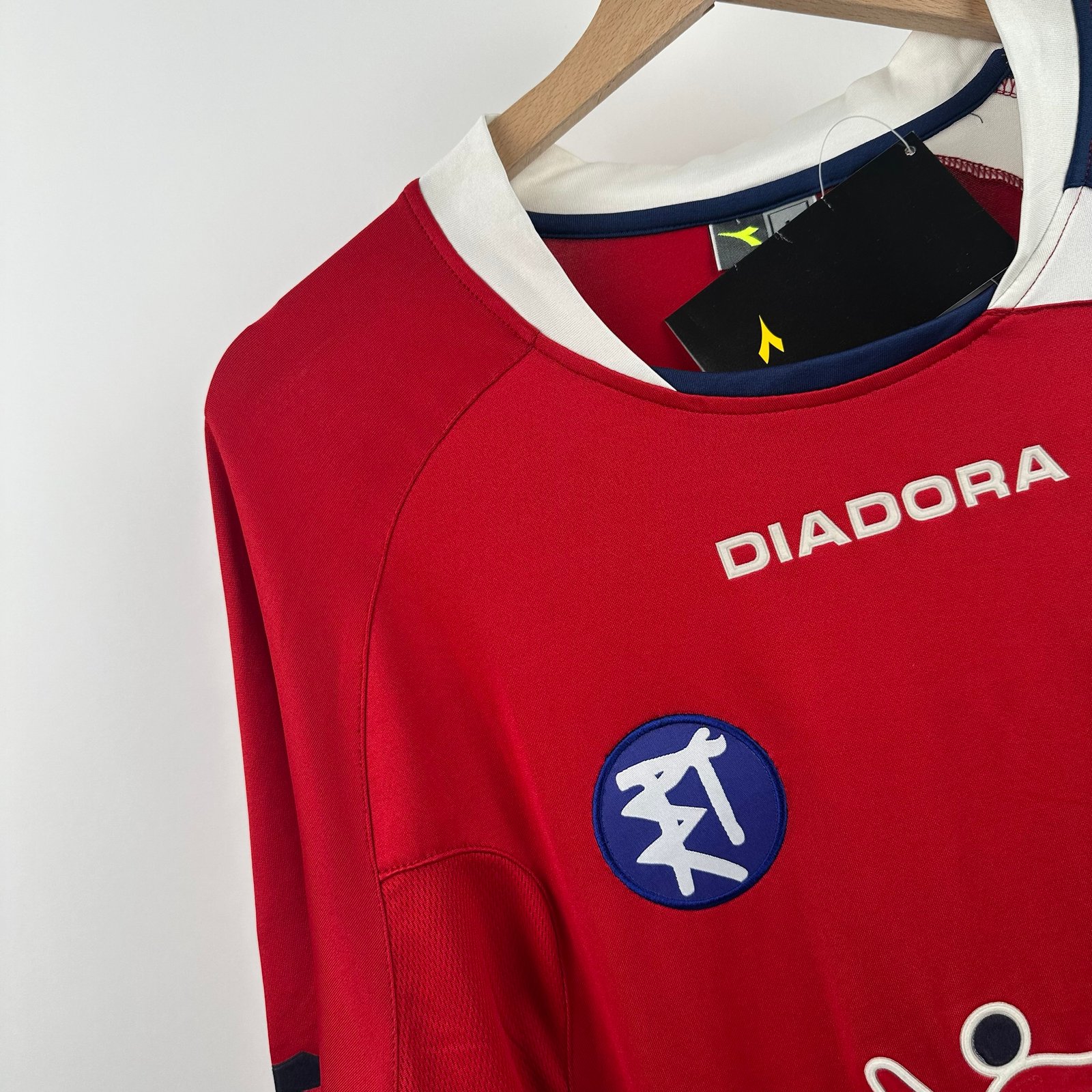 Panionios 2009-10 Home (L)