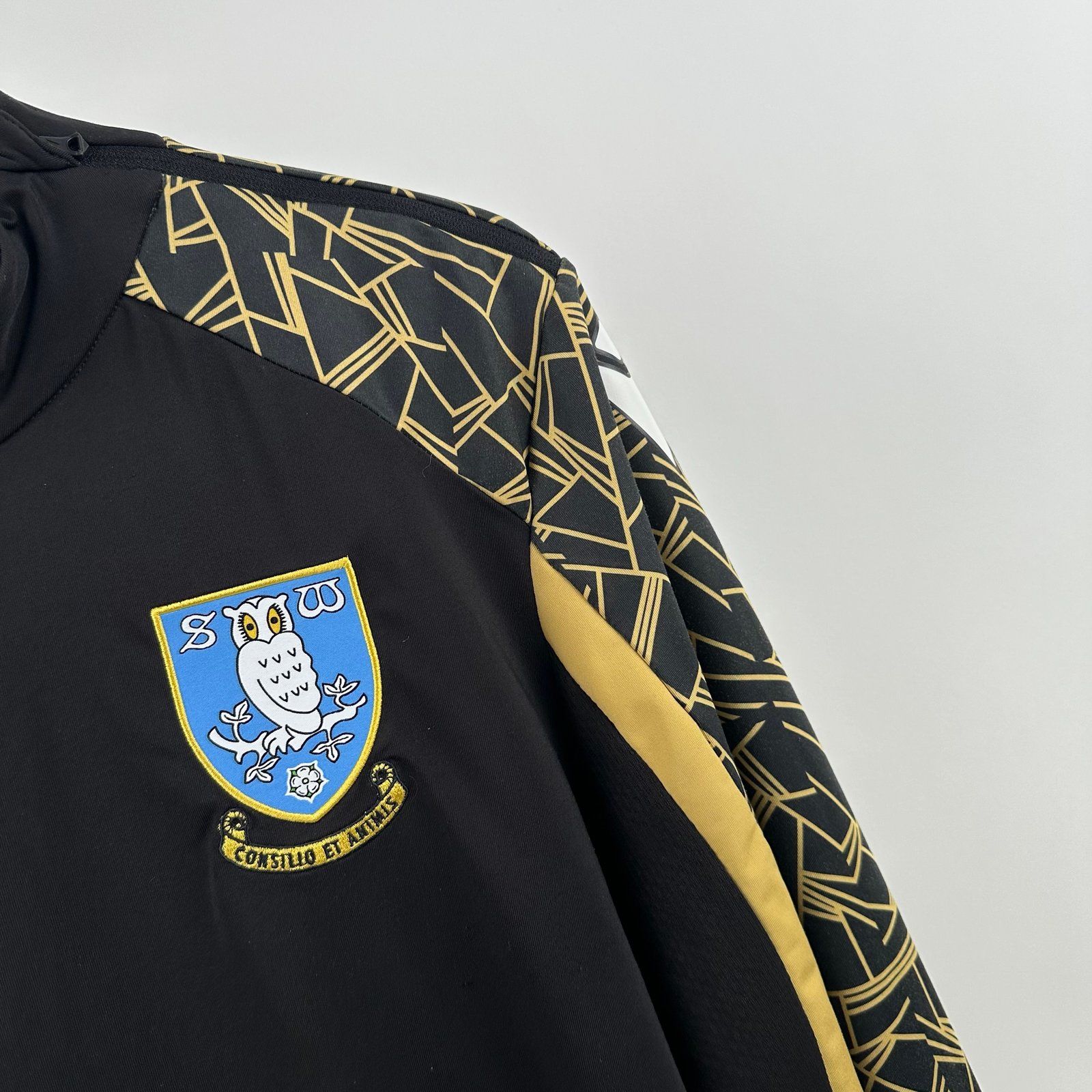 Sheffield Wednesday 2021-22 Training (M)
