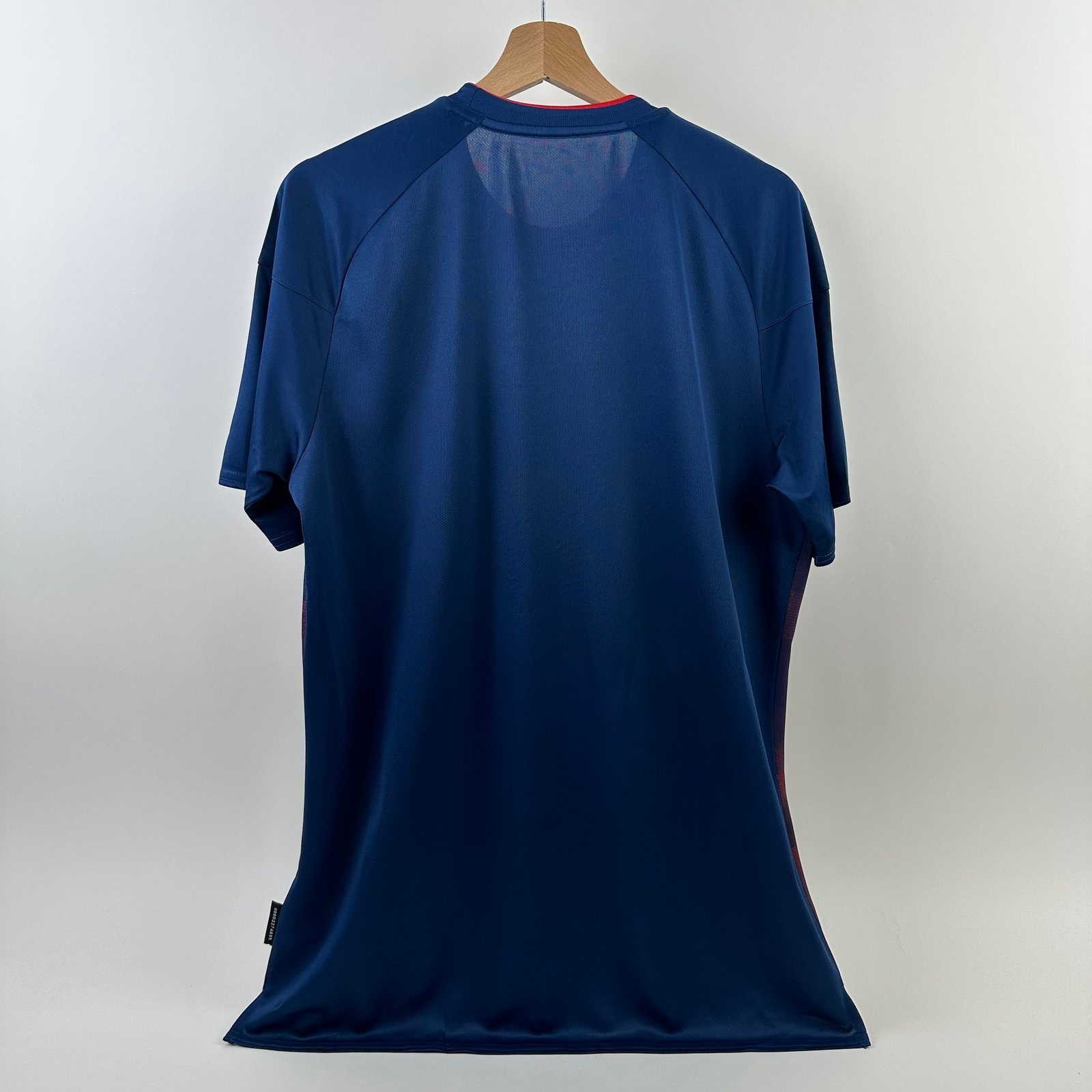 AL Ahly 2020-21 Third (L)