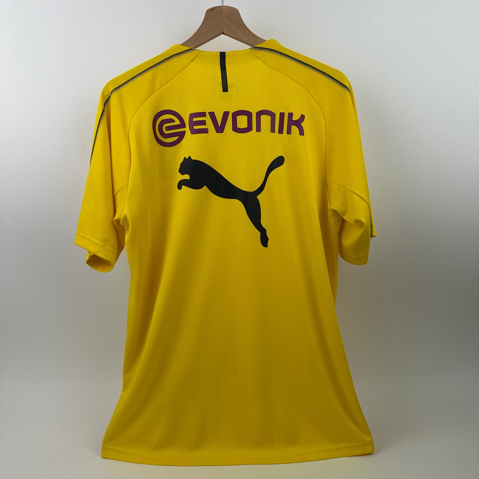 Borussia Dortmund 2018-19 Training (M)