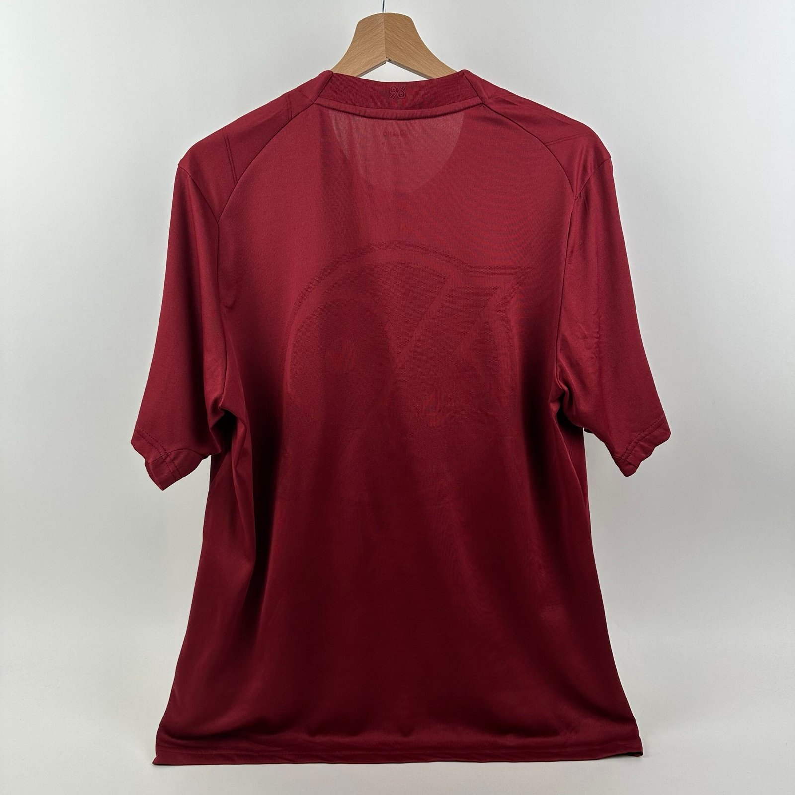 Hannover 96 2011-12 Home (L)