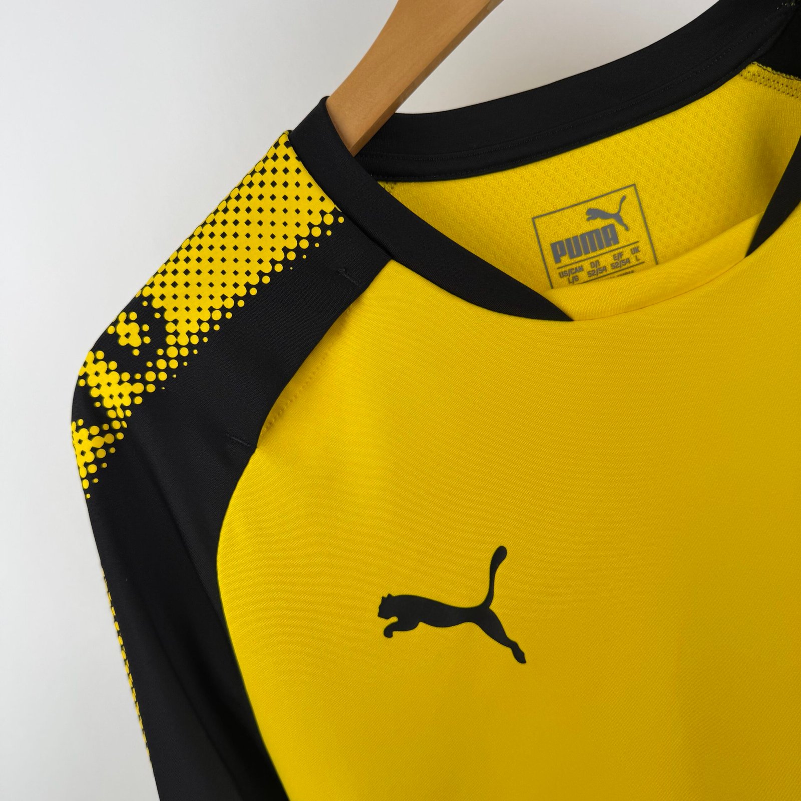 Borussia Dortmund 2017-18 Training (L)
