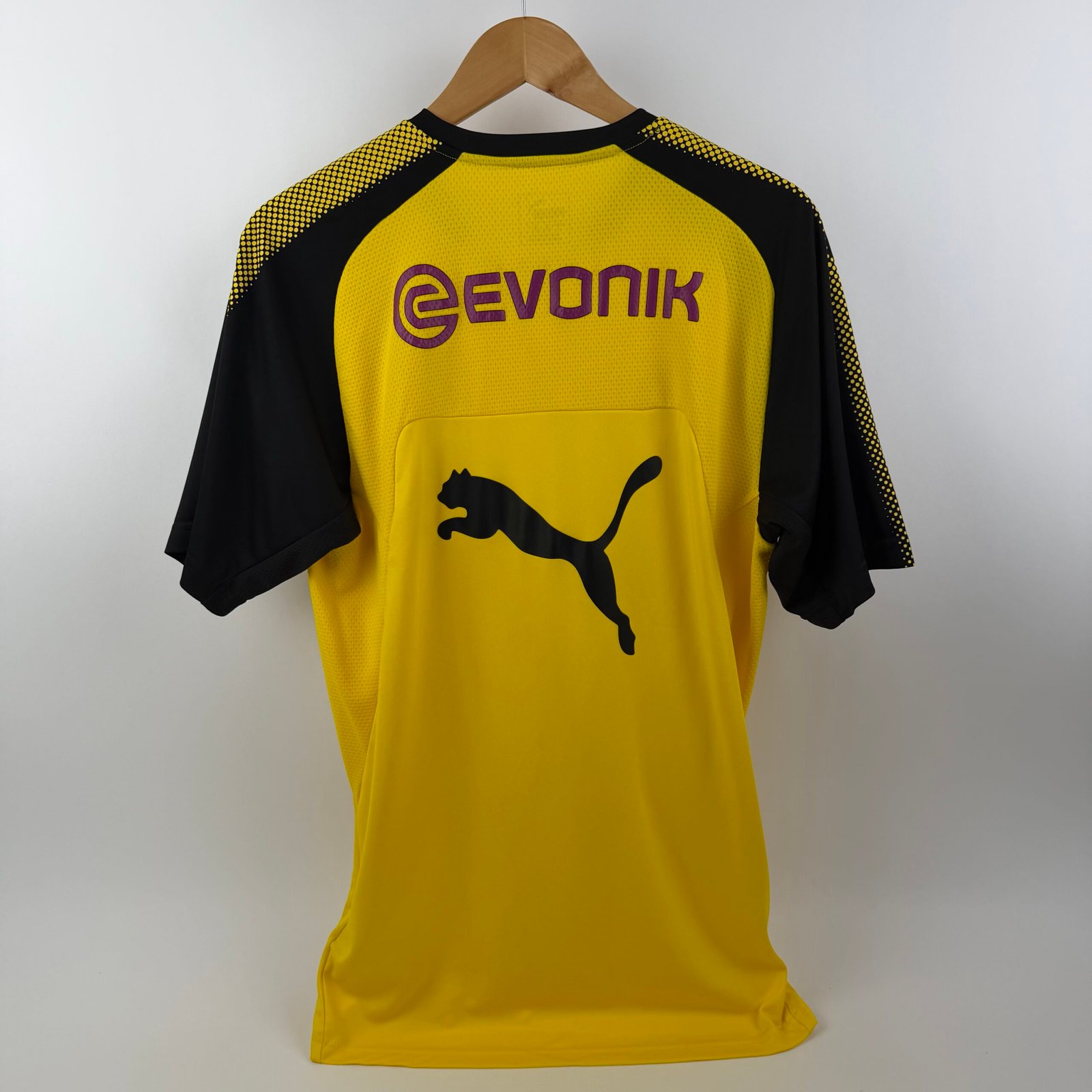 Borussia Dortmund 2017-18 Training (L)