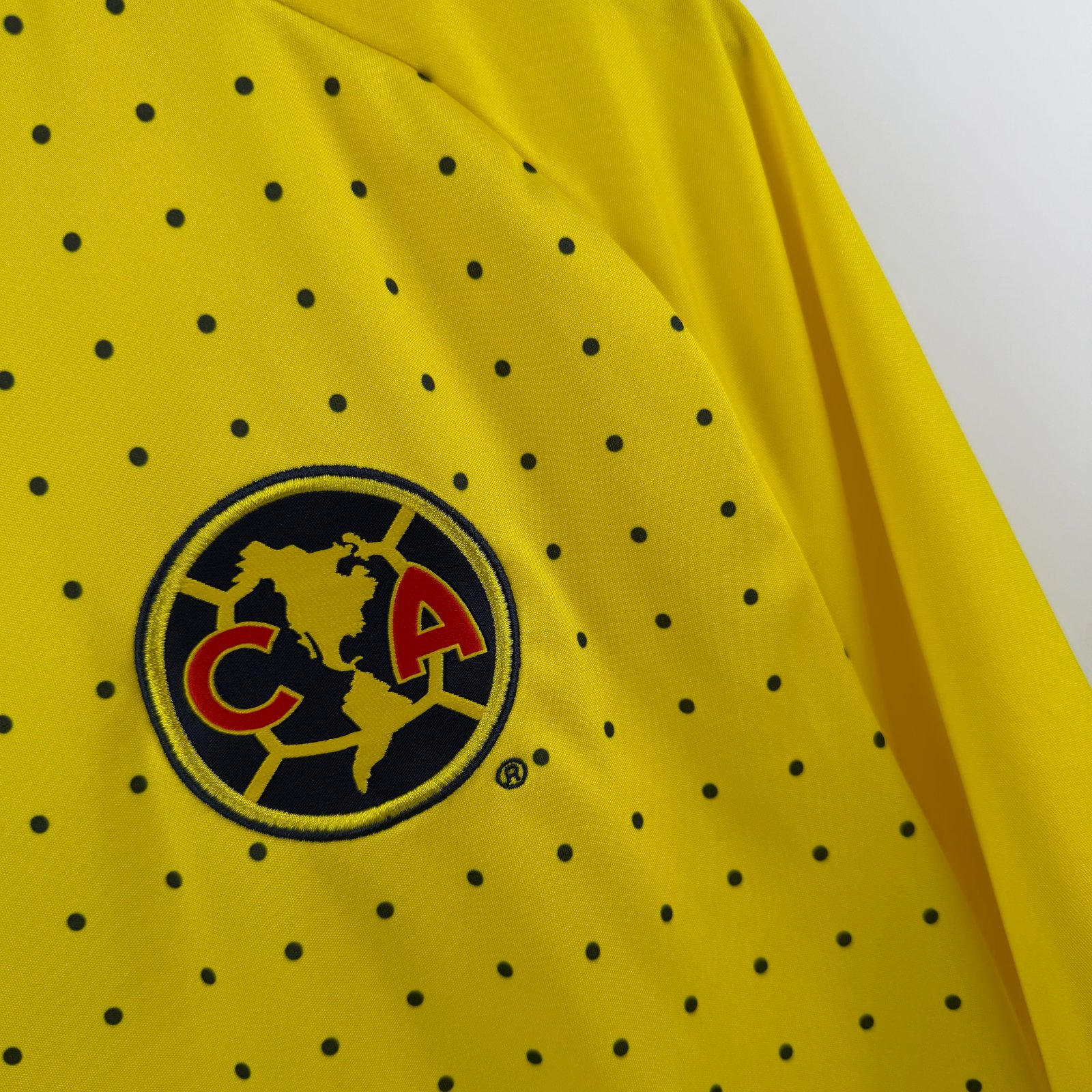 Club America 2011-12 Training (L)