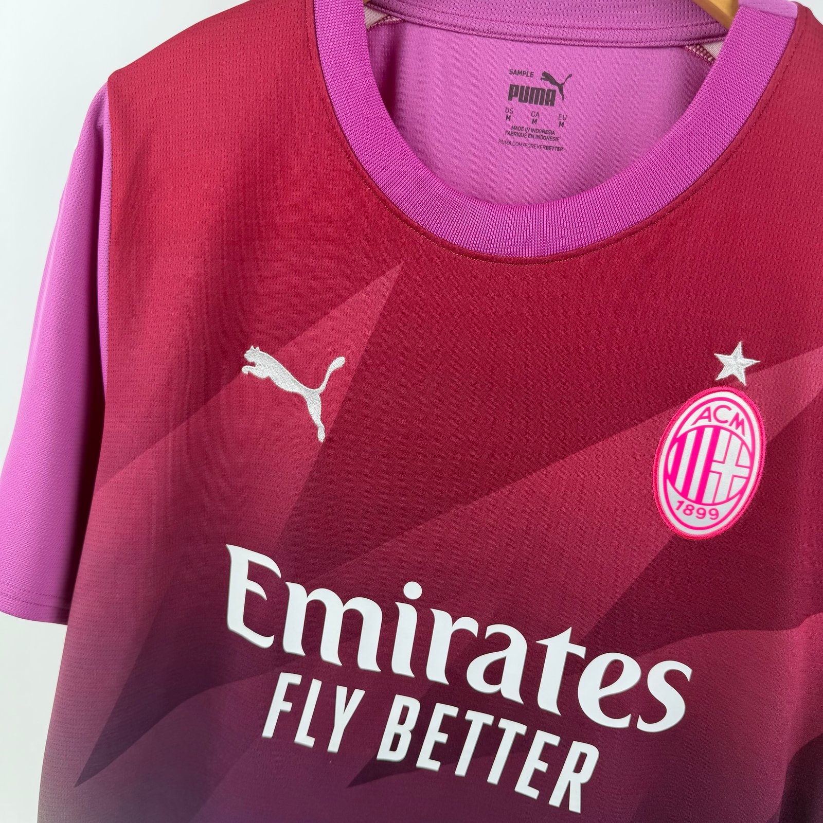 Milan 2023-24 Sample  (M)