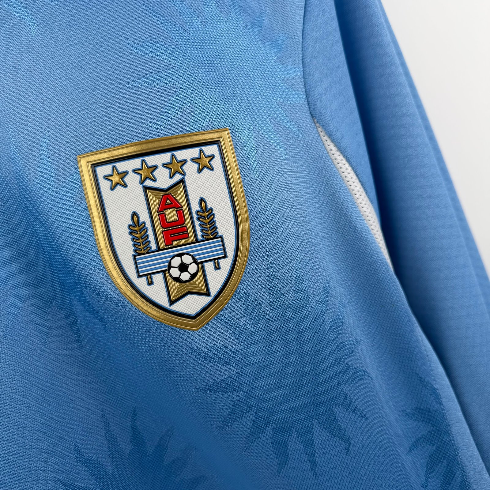 Uruguay 2010 Home (L)