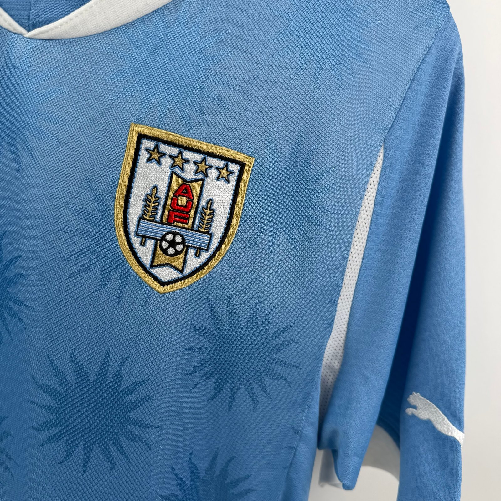 Uruguay 2010 Home (S)